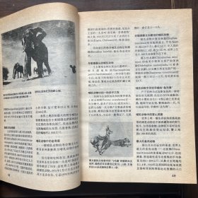 基尼斯世界之最大全
