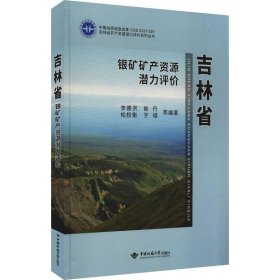 吉林省银矿矿产资源潜力评价