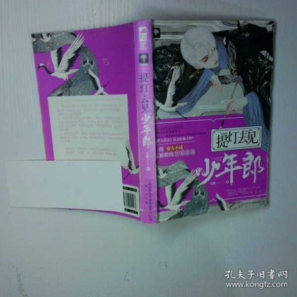 提灯去见少年郎