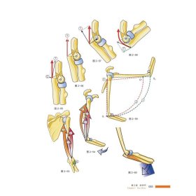 骨关节功能解剖学:第一卷上肢（原书第7版）
