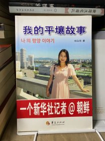 我的平壤故事