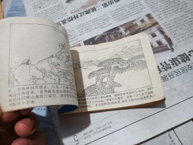 泰山铁罗汉
