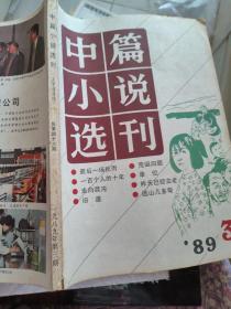 中篇小说选刊   1989年第3期