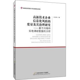 高新技术企业信息化风险的度量及其治理研究