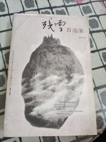 残雪自选集：中国当代著名作家自选集系列