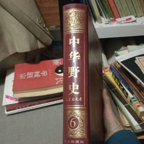 中华野史【第6卷 辽夏金元卷】