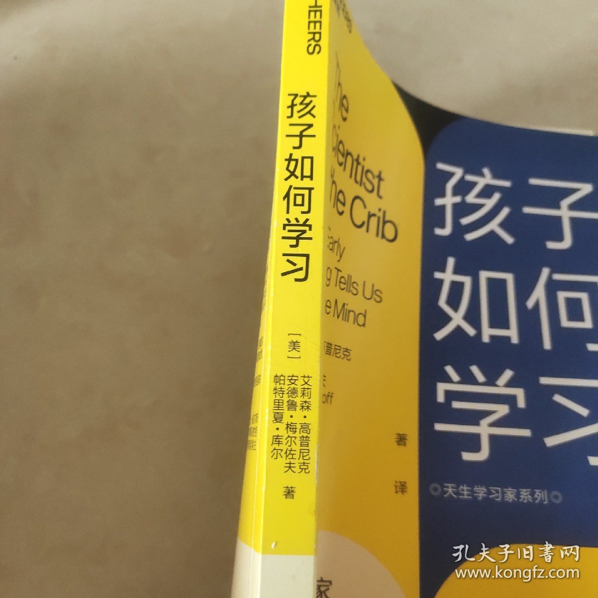 孩子如何学习：顶级心理学家给出的全新答案