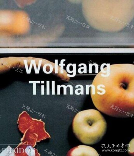 价可议 Wolfgang Tillmans Phaidon nmwznwzn