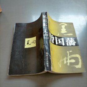 曾国藩·黑雨:长篇历史小说