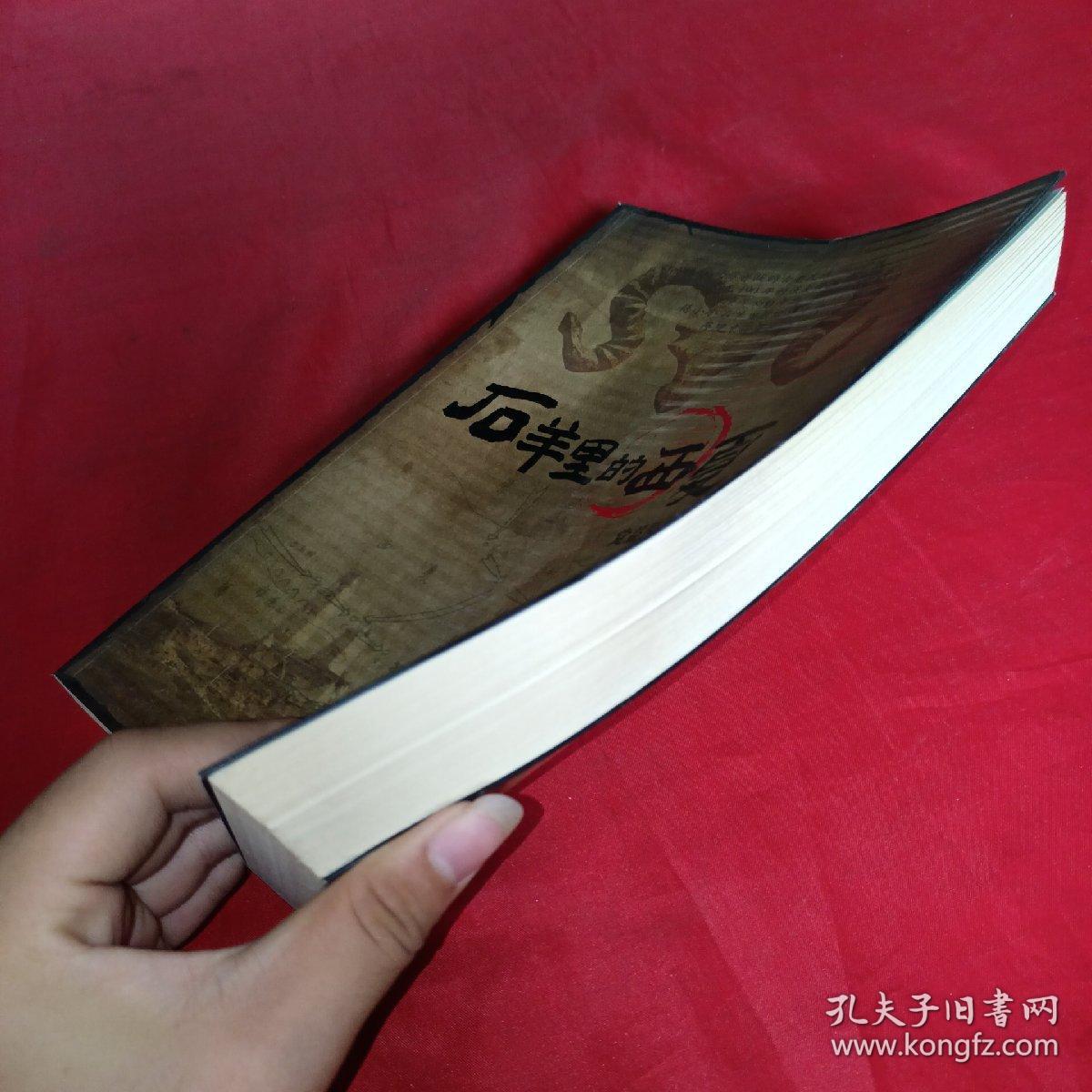 石羊里的西夏，