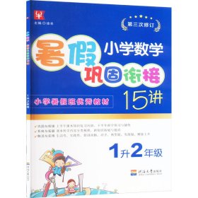 小学数学暑巩固衔接15讲 升年级【正版新书】