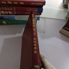 黔南布依族苗族自治州志.第17卷.文化艺术志