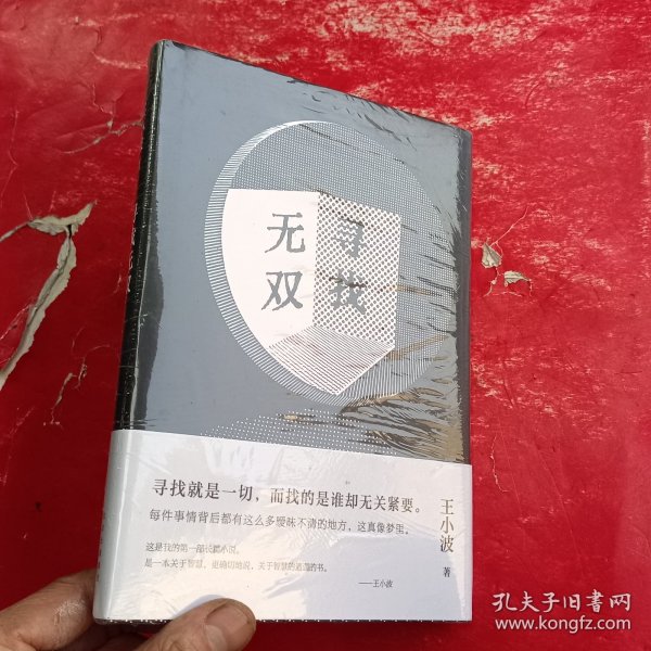 寻找无双（王小波智慧之书，“青铜时代”开山神作！寻找就是一切。马伯庸、戴锦华力荐，2023新版）