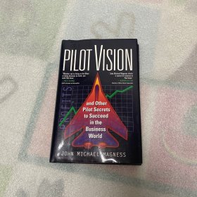 Pilot vision