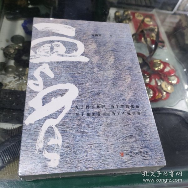 血与骨 安昌河 著