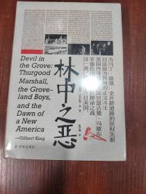 林中之恶(普利策奖获奖作品!一桩冤案，一位律师，如何塑造今日美国？力透纸背的非虚构写作，一口气读完的正邪之战)