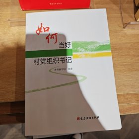 如何当好村党组织书记