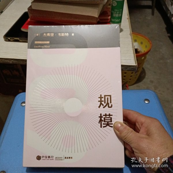 规模：复杂世界的简单法则