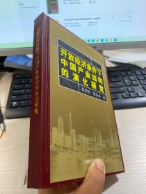 开发经济条件下中国产业结构的演化研究 精装