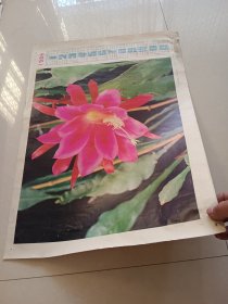 老年画 1986年历画 1985年山东美术出版