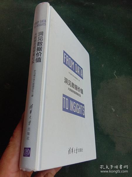 洞见数据价值：大数据挖掘要案纪实