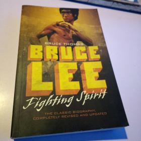 Bruce Lee: Fighting Spirit