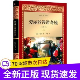 爱丽丝漫游奇境