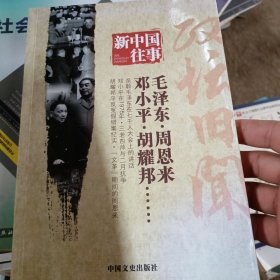 新中国往事 政坛旧闻