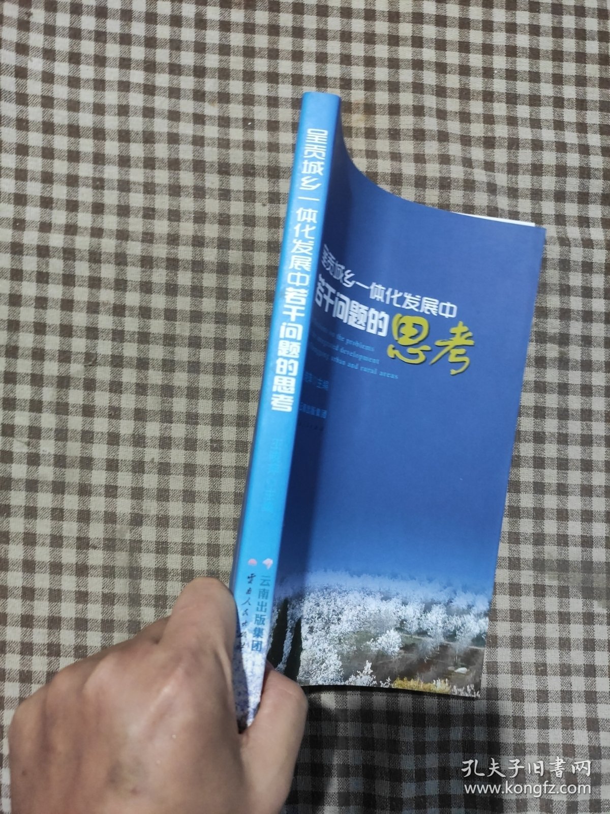 呈贡城乡一体化发展中若干问题的思考