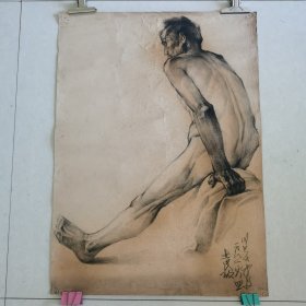 人体素描（袁政）