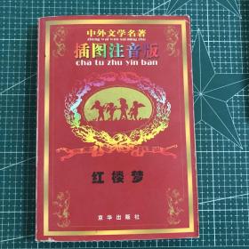 中外文学名著插图注音版
