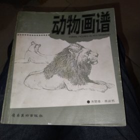 动物画谱