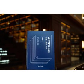 公司对外担保 实践·规则·理念