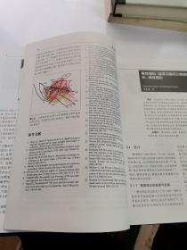 盆底疾病：影像学及多学科临床实践（翻译版）