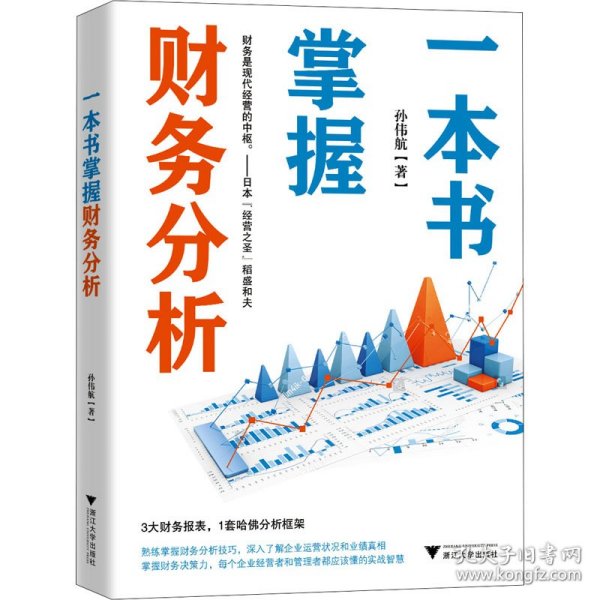 一本书掌握财务分析（拥有财务分析能力，就拥有了财务思维，就能在内部决策和外部投资中获益）