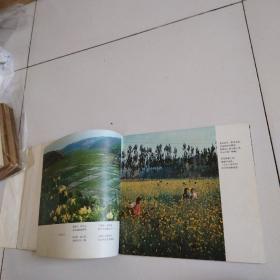 延安农业新貌 《画册》82年1版1印12开，实物拍摄品佳详见图