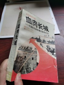 血肉长城：中国抗日战争著名战役纪实