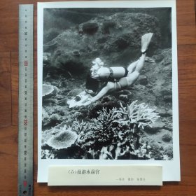 超大尺寸：1979年，陈雷生摄影《漫游水晶宫》获第二届全国体育摄影竞赛一等奖，潜水运动