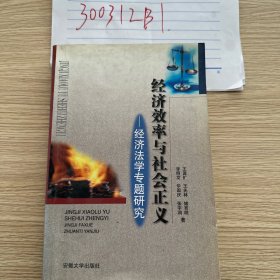 经济效率与社会正义:经济法学专题研究