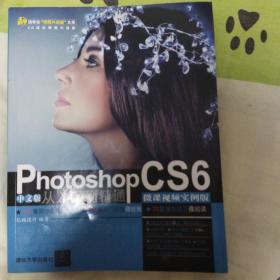 Photoshop CS6中文版从入门到精通（微课视频实例版）