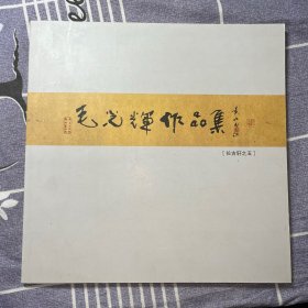 毛光輝作品集