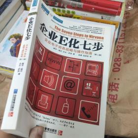 企业E化七步：企业电子商务战略与操作指南（第2册）