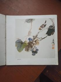 王雪涛画集