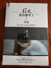 后来我们都哭了I·伤城