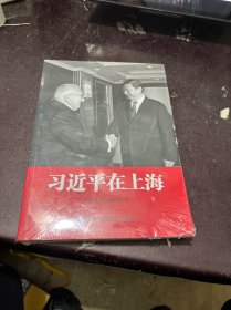 习近平在上海