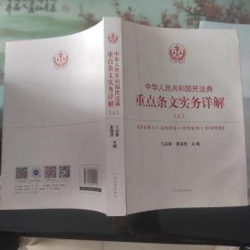中华人民共和国民法典重点条文实务详解(上册)