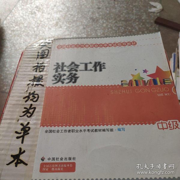 2010全国社会工作者职业水平考试教材：社会工作实务（中级）