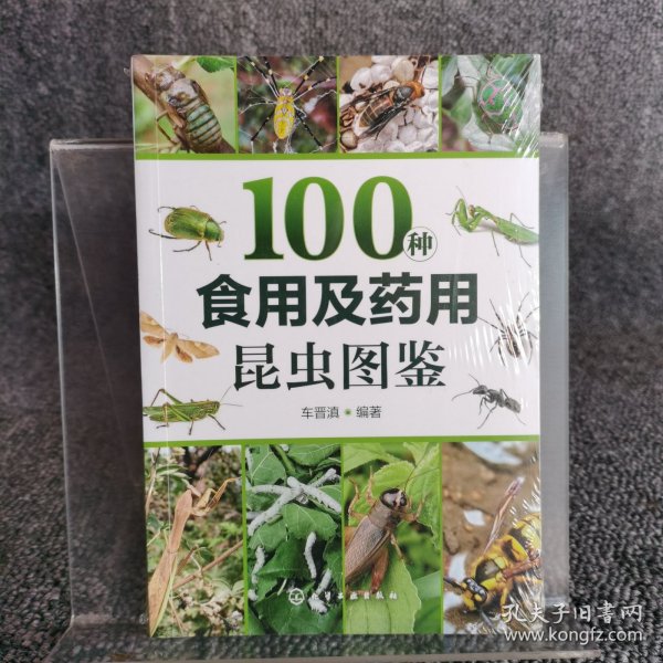 100种食用及药用昆虫图鉴