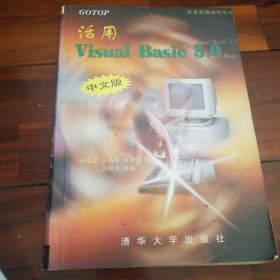 活用 Visual Basic 5.0 中文版
