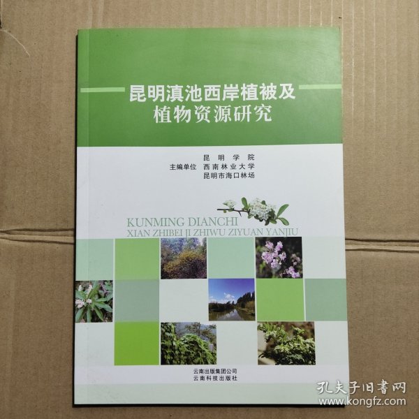 昆明滇池西岸植被及植物资源研究